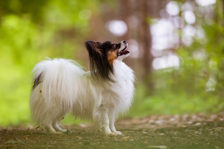 IMG_9136 zo zonera + denoise